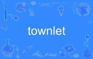 TOWN币总量多少,townlet和town的区别