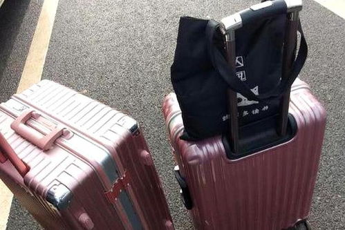 为什么老外旅游喜欢背包,而中国人却爱拖行李箱呢 涨知识