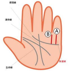 手指这部位看出你是否富贵命 财运线深直有力大富大贵 
