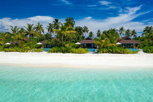马尔代夫极乐岛有多大这里有什么精彩景点（马尔代夫度假岛屿）