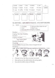 湘少版四年级下册英语期末检测卷 三 3