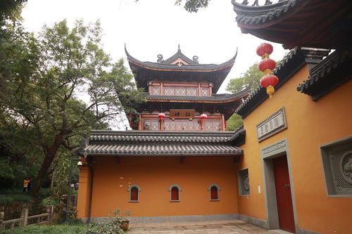 寺庙佛系 旅 杭州唯一女众寺庙法镜寺 