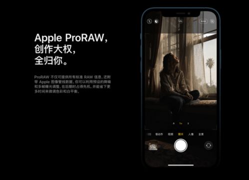 苹果iPhone 12 Pro Max 它就是 Max 的最佳代言人