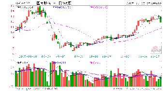 炒股票新手怎样入门？