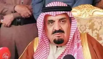 沙特到底有多少王子 这才是正确的打开方式 冰川国际