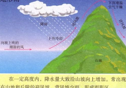 锋面雨,对流雨,地形雨的含义?