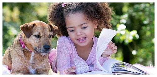 养狗会影响孩子读书吗 狗狗陪着孩子一起读书,其实是不错的选择