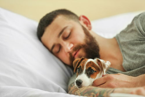 狗喜欢和主人 睡觉 ,原来有这6大原因