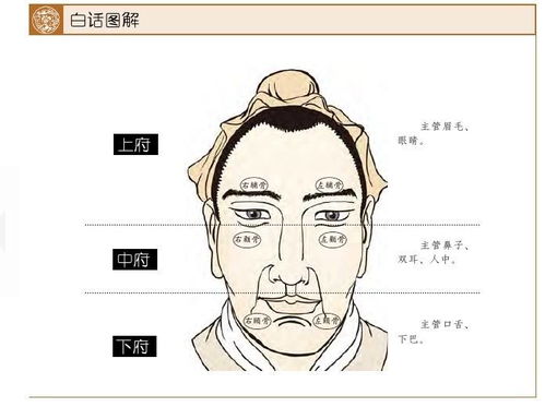 耳大有福 眼斜心不正 竟有这样的科学道理,看完你没法反驳