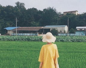 2019年4月14日 梦里梦到的人,醒来就该去见他 美文摘抄