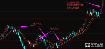 有谁能告诉我一支很有潜力的股票啊?