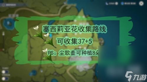 《原神》松香余味配料采集位置在哪？松香余味配料采集位置介绍