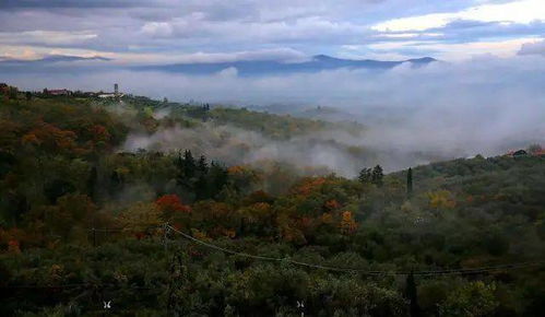 迷雾山庄 缥缈清晨