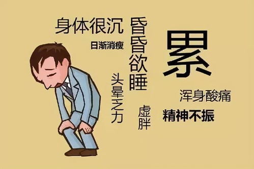 身体疲累 压力大 打工人也该补补啦