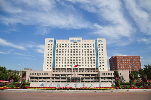 对外经济贸易大学国际学院