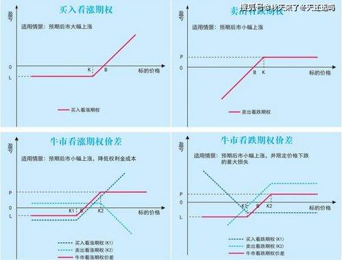 公司的期权和RSU哪个好一些？