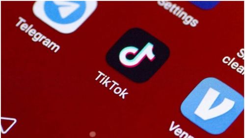 Tik Tok账号如何快速涨粉_TikTok账号增加播放量