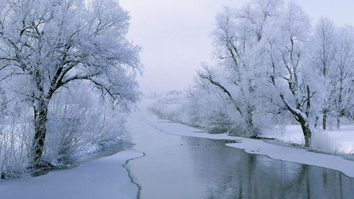 下雪天干净治愈有意境短句