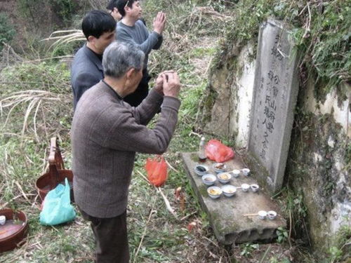 古语 女婿莫上坟,上坟辱先人 ,女婿不能上坟是什么规矩