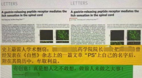 论文查重易操作，学术诚信有保障