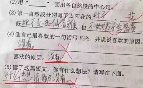 小学生的奇葩试卷,老师看到后乐了 天才,我已经教不动你了