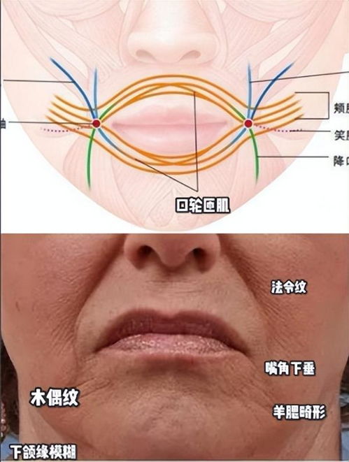 嘴角下垂 3步教你如何练出微笑唇,笑容更甜美 一看就会