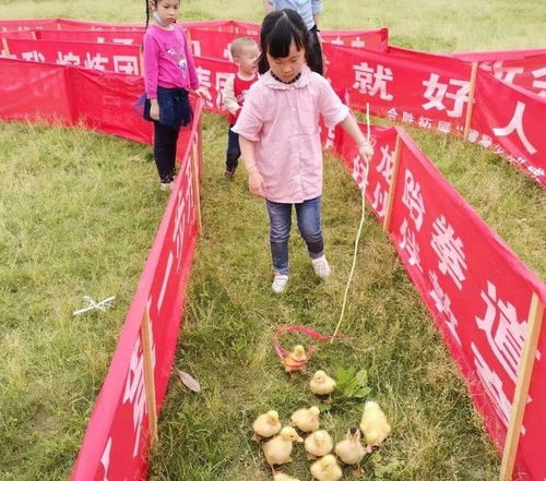 五月份最适合旅游的城市