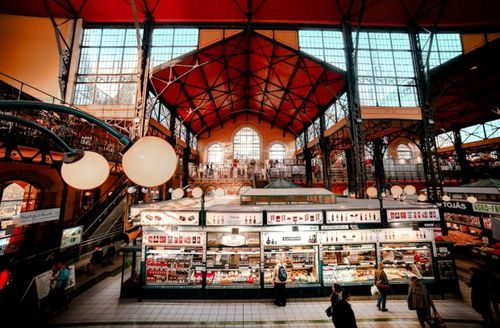 在欧洲,普通游客逛商场,真正会玩的人逛菜场