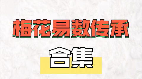 零基础学习梅花易数 林武樟 共24集