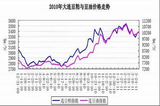 文化财经中“豆一指数”与“豆一主力”的区别是什么？