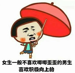 关于司机的搞笑诗句