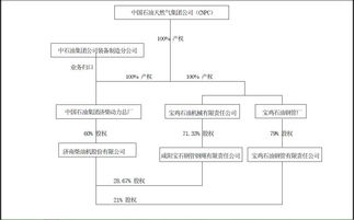 从哪里能查找到公司实际控制人的最终控制权和现金流权