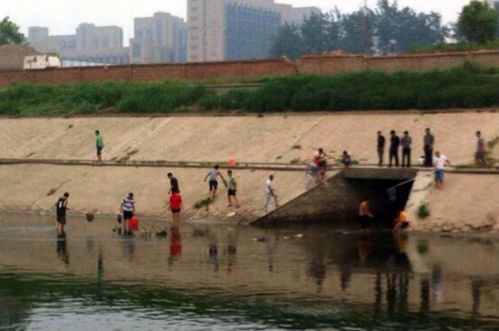 北京大雨前鲶鱼跳出水面引人捕捞 