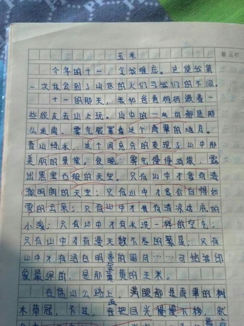 作文 经历过的一件事 700字 