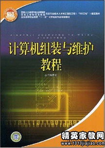 国贸专业职业生涯规划书，国贸就业方向