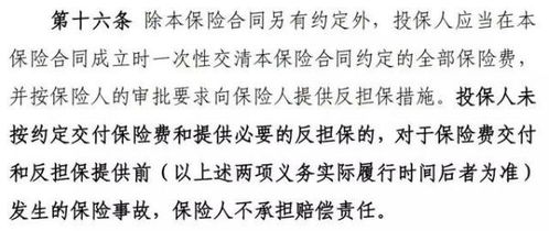 担保公司中的反担保是什么意思呢？