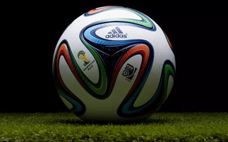 世界杯比赛的官方用球历届世界杯用球的名称
