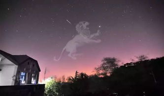 阳江人,明晚有几十年一遇的狮子座流星雨,约无