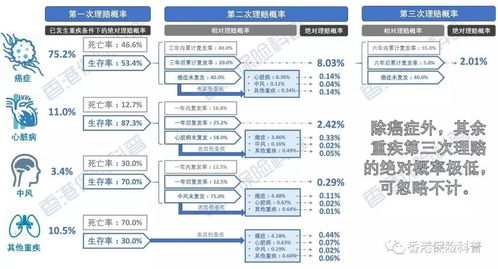 重查比与决策制定的关联性分析