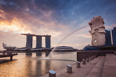 新加坡自由签证要交税费吗