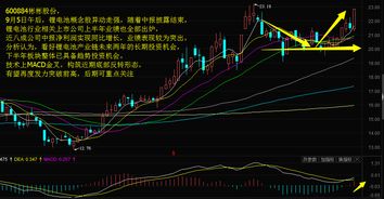 推选几只能源股