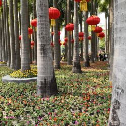 深圳国际园林花卉博览园门票 地址 地图 攻略 