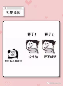 非诚勿扰之狮子座 