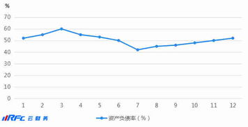 求一个财务分析案例。。谢谢了