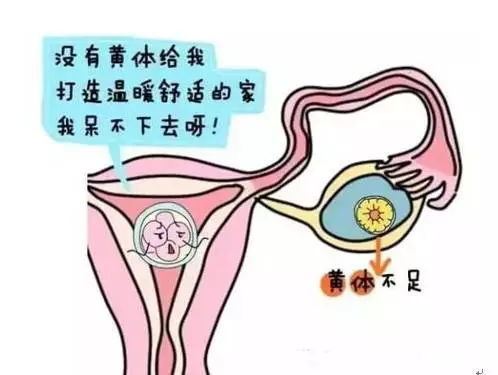 试管婴儿全给黄体酮口服行不行 