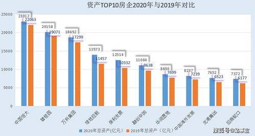 琴行投资，如何分配股份和评估现有资产。