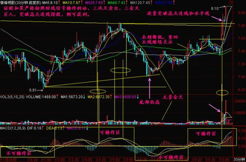 我要用到2006.12.8日北辰实业的30分钟线的k线图，什么股票软件能提供？麻烦各位高手了