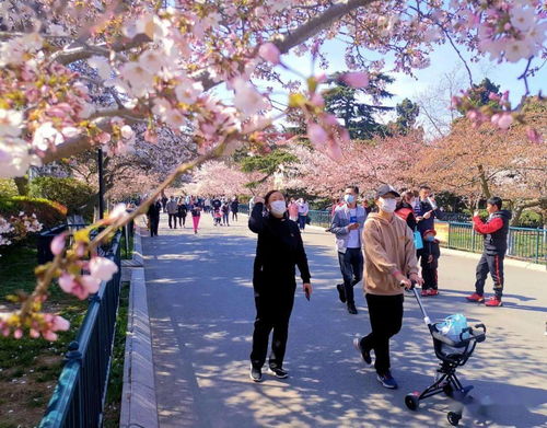 五一青岛天气适合穿啥衣服