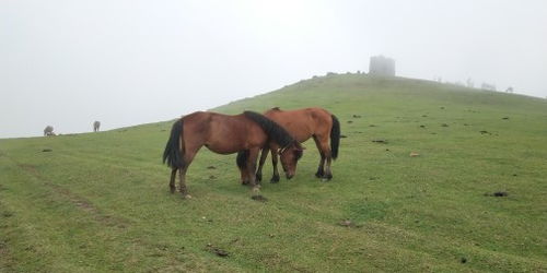 仰天湖仰天湖为了避开51旅游高峰,强行拉我 驴妈妈点评 