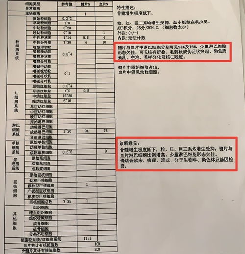 量表查重检测的重要性及实施步骤